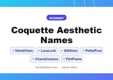 Coquette Aesthetic Names: VelvetVixen, LaceLush, SilkSiren and more name ideas